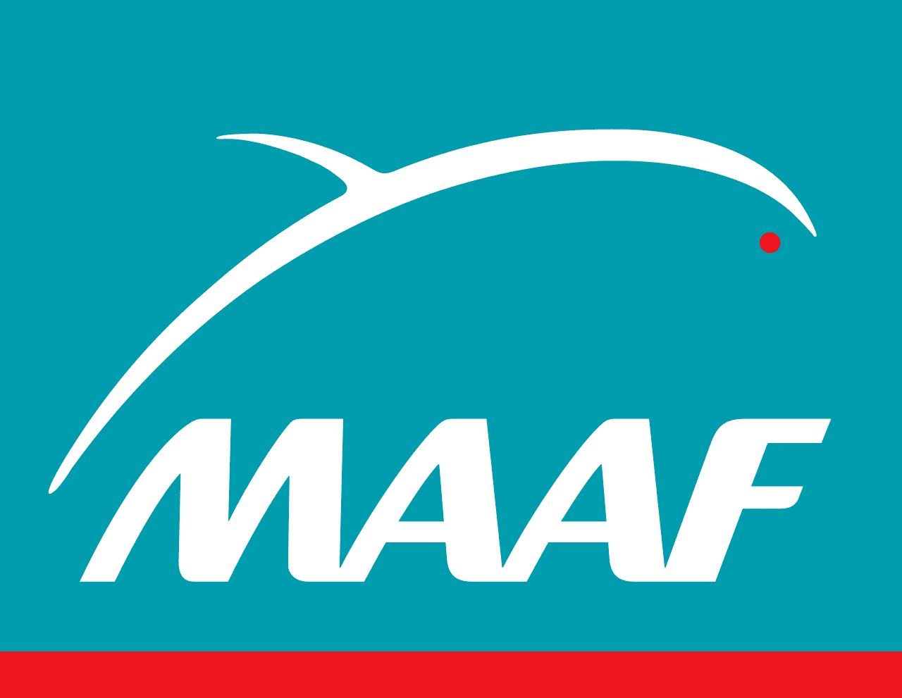 maaf-1.png